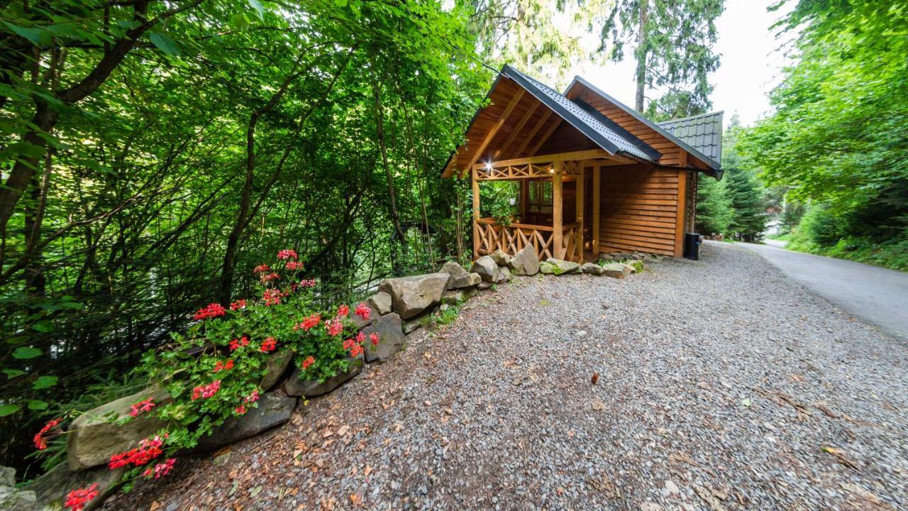 Karpatska Villa Mykulychyn Exterior foto